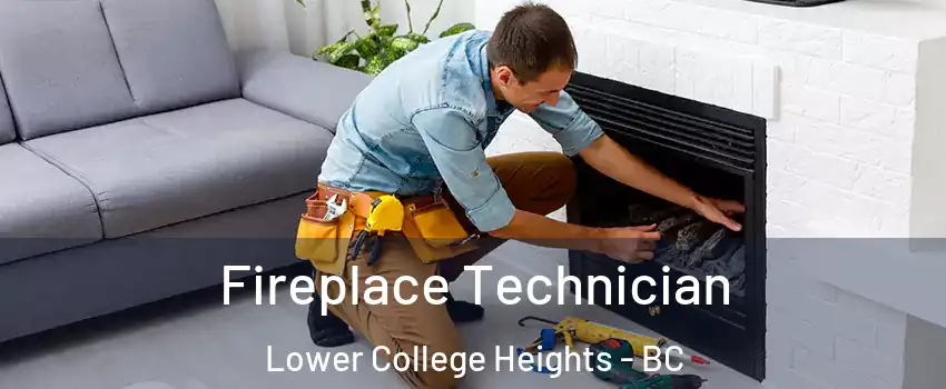 Fireplace Technician Lower College Heights - BC