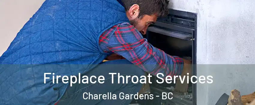 Fireplace Throat Services Charella Gardens - BC