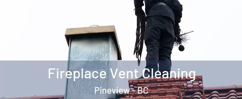  Fireplace Vent Cleaning Pineview - BC