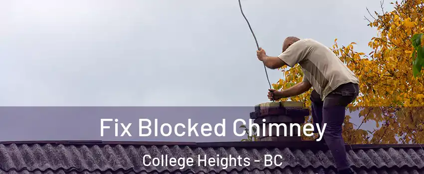  Fix Blocked Chimney College Heights - BC
