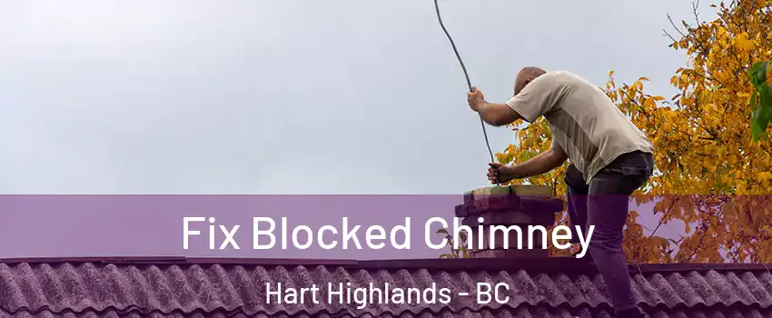  Fix Blocked Chimney Hart Highlands - BC