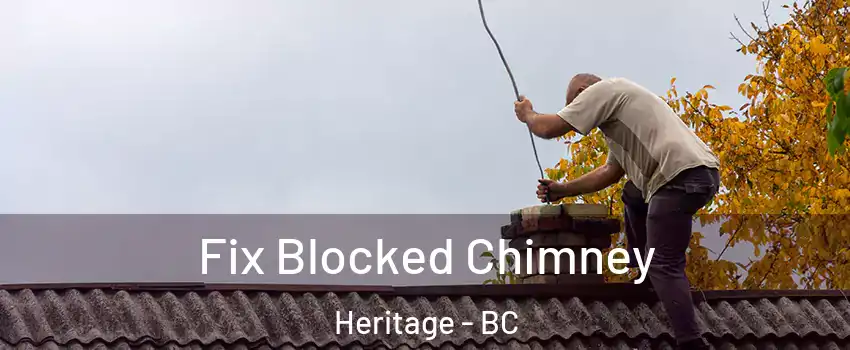  Fix Blocked Chimney Heritage - BC