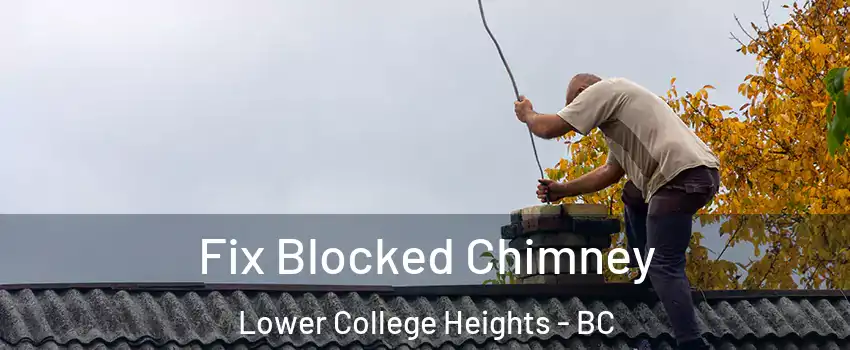  Fix Blocked Chimney Lower College Heights - BC