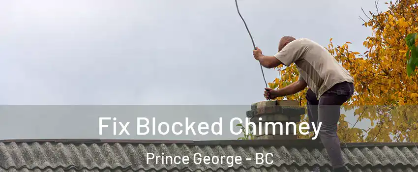  Fix Blocked Chimney Prince George - BC