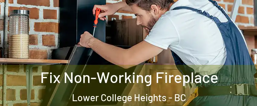  Fix Non-Working Fireplace Lower College Heights - BC