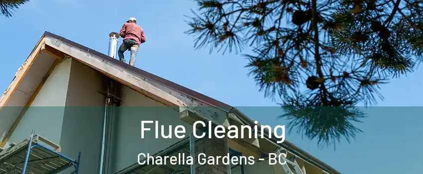  Flue Cleaning Charella Gardens - BC