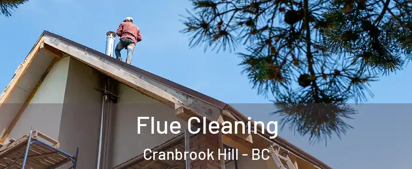 Flue Cleaning Cranbrook Hill - BC