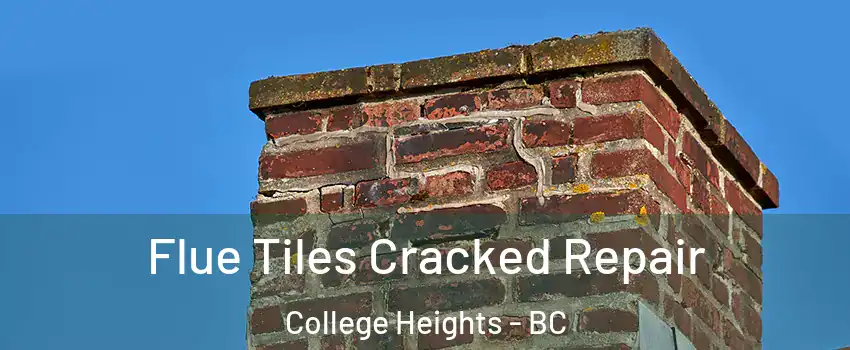  Flue Tiles Cracked Repair College Heights - BC