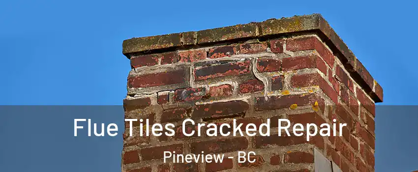  Flue Tiles Cracked Repair Pineview - BC