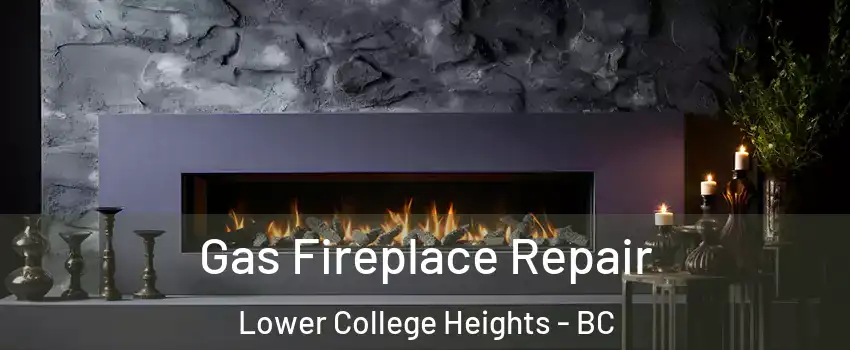  Gas Fireplace Repair Lower College Heights - BC