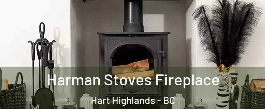  Harman Stoves Fireplace Hart Highlands - BC