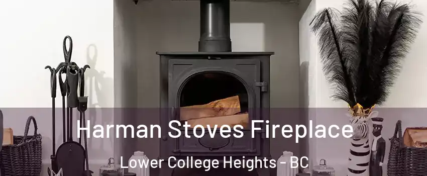  Harman Stoves Fireplace Lower College Heights - BC