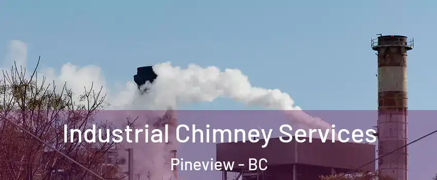  Industrial Chimney Services Pineview - BC