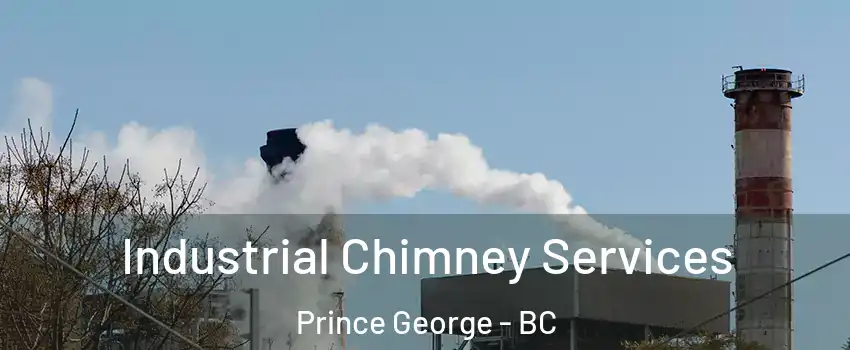  Industrial Chimney Services Prince George - BC