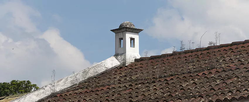 Wind-Resistant Chimney Caps Installation and Repair Services in Blackburn, British Columbia