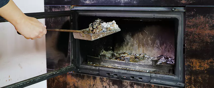 Wood Burning Chimney Odor Removal in Blackburn, British Columbia