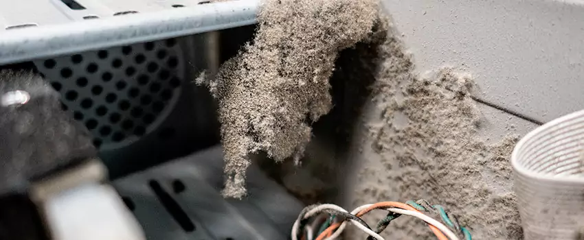 Clogged Dryer Vent Lint Cleaning in Blackburn, British Columbia