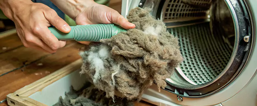 Best Dryer Lint Removal Company in Blackburn, British Columbia