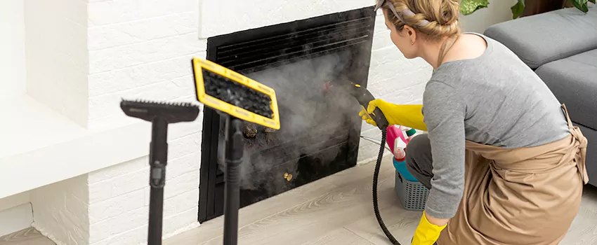 Fireplace Doors Cleaning in Blackburn, British Columbia