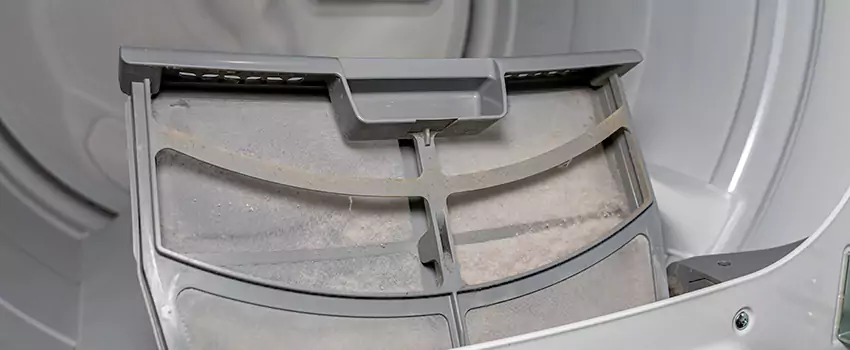 Benefits of Professional Clogged Dryer Vent Cleaning in Blackburn, British Columbia
