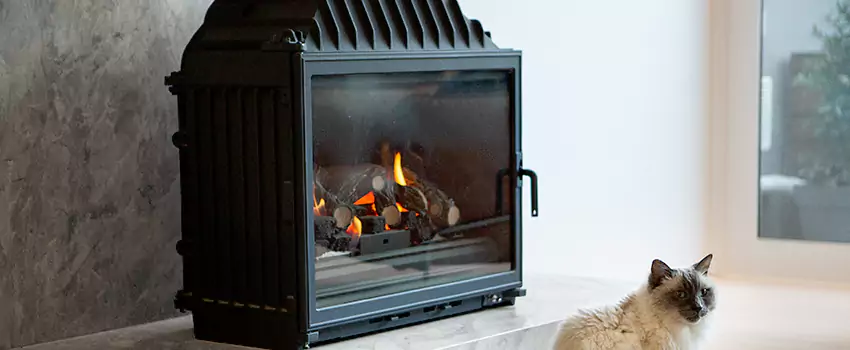 Fireplace Damaged Damper Frame Repair Services in Blackburn, British Columbia