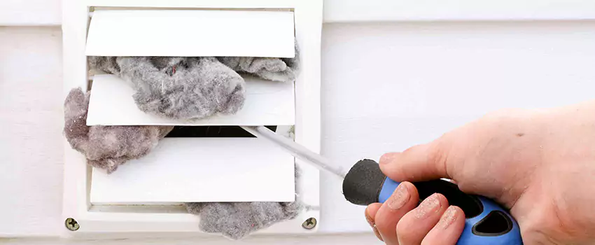 Signs of Dust Accumulation in Vents in Blackburn, BC