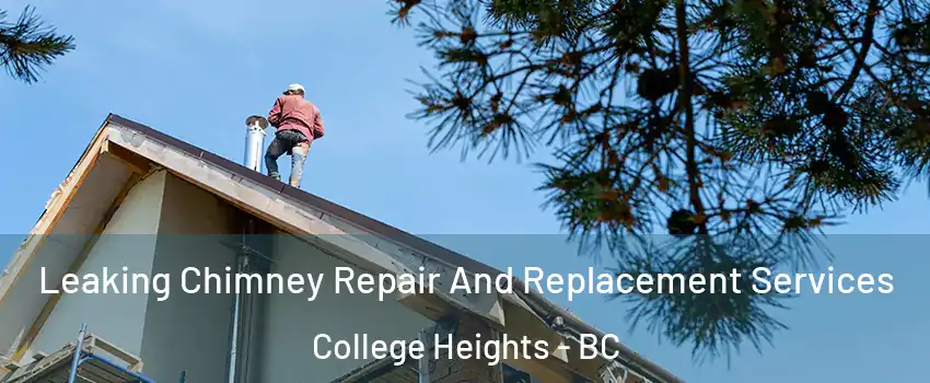  Leaking Chimney Repair And Replacement Services College Heights - BC