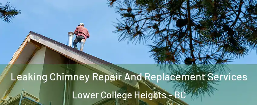  Leaking Chimney Repair And Replacement Services Lower College Heights - BC