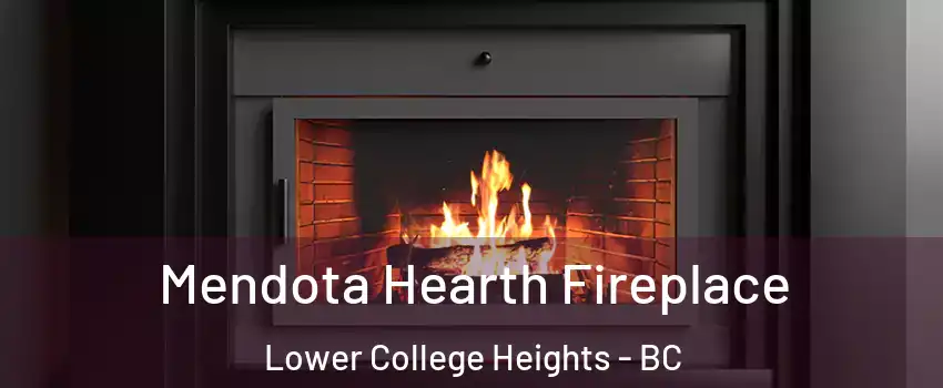 Mendota Hearth Fireplace Lower College Heights - BC
