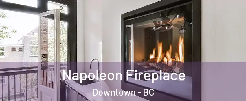  Napoleon Fireplace Downtown - BC
