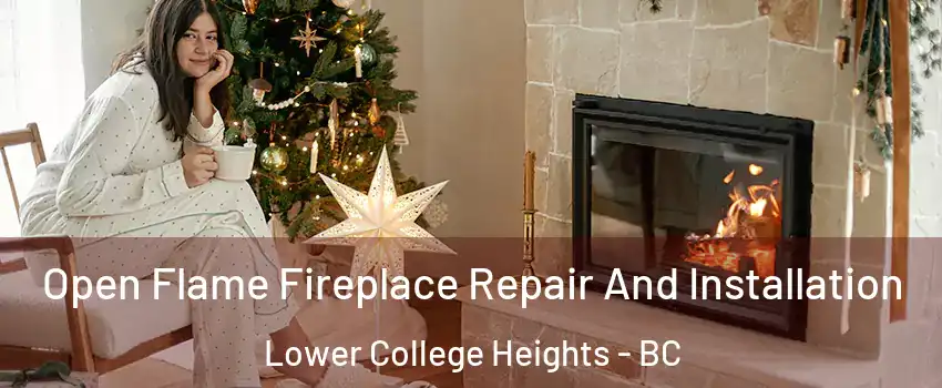  Open Flame Fireplace Repair And Installation Lower College Heights - BC