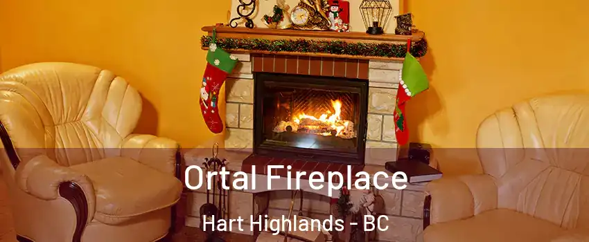 Ortal Fireplace Hart Highlands - BC