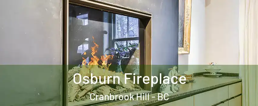  Osburn Fireplace Cranbrook Hill - BC
