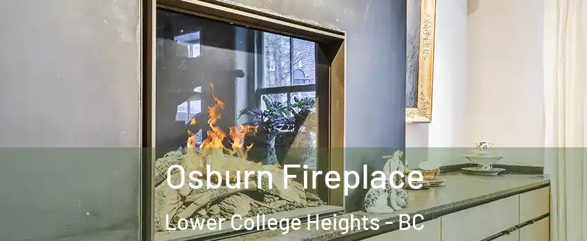  Osburn Fireplace Lower College Heights - BC
