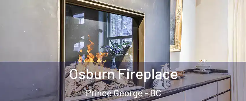  Osburn Fireplace Prince George - BC