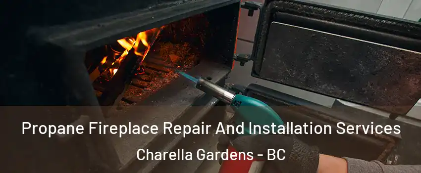 Propane Fireplace Repair And Installation Services Charella Gardens - BC