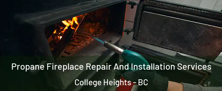 Propane Fireplace Repair And Installation Services College Heights - BC