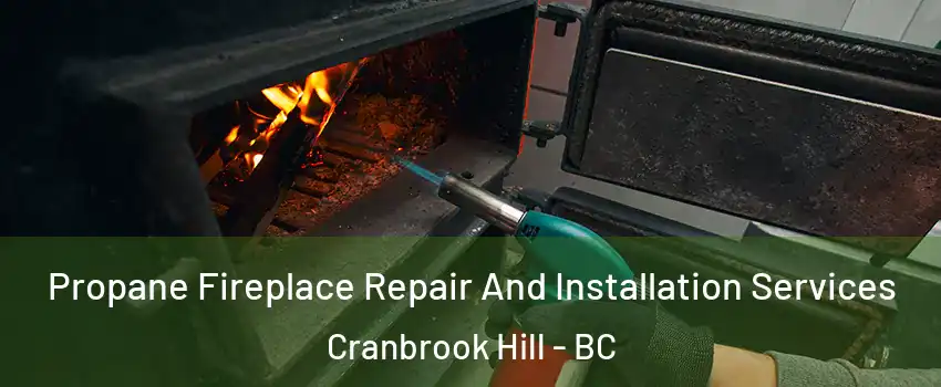 Propane Fireplace Repair And Installation Services Cranbrook Hill - BC