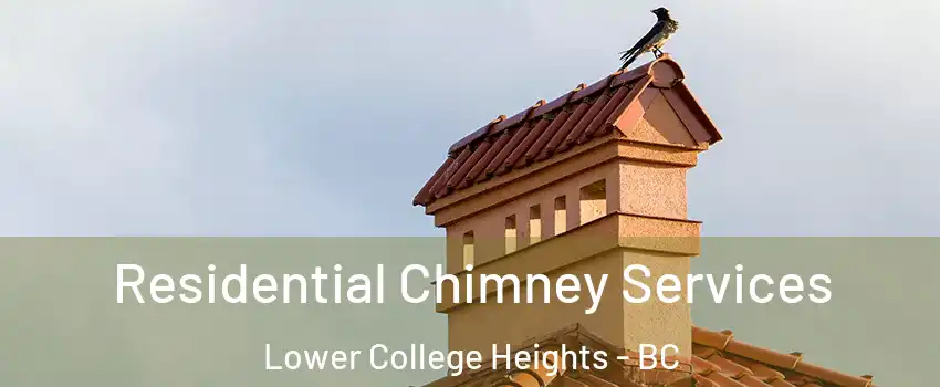  Residential Chimney Services Lower College Heights - BC
