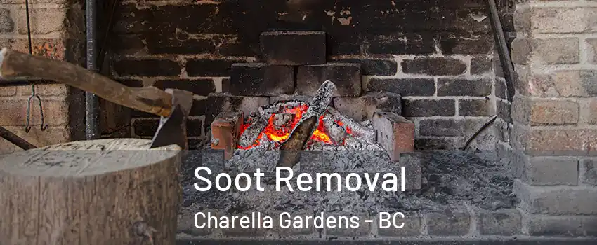  Soot Removal Charella Gardens - BC