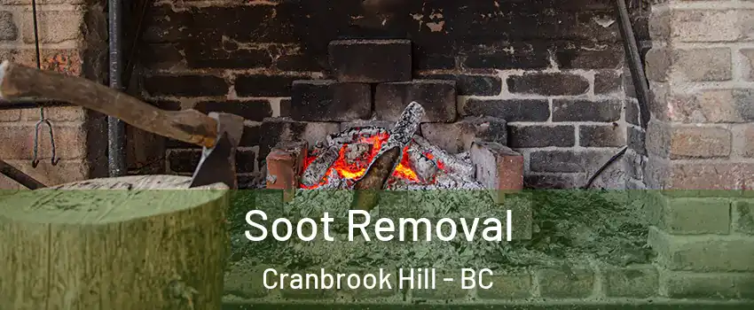  Soot Removal Cranbrook Hill - BC
