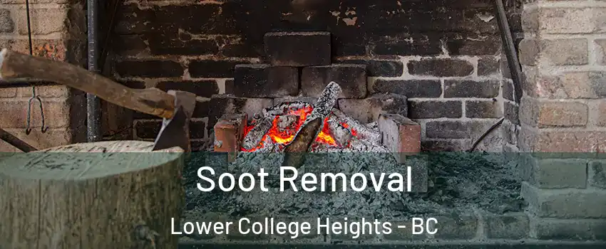  Soot Removal Lower College Heights - BC