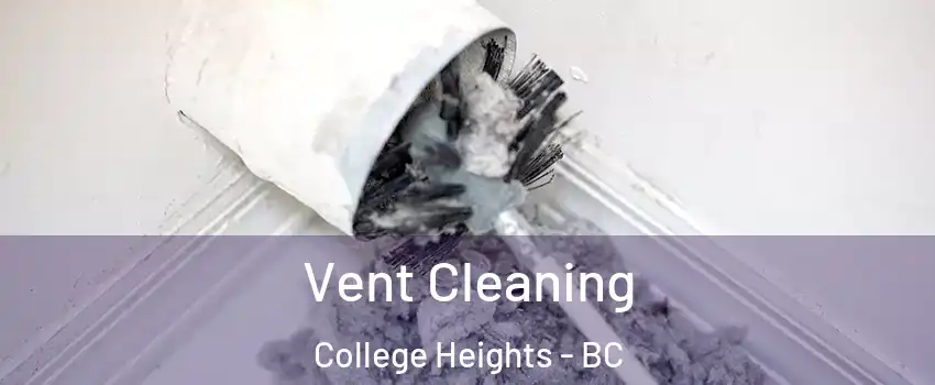  Vent Cleaning College Heights - BC