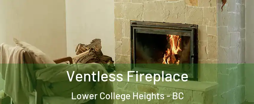  Ventless Fireplace Lower College Heights - BC