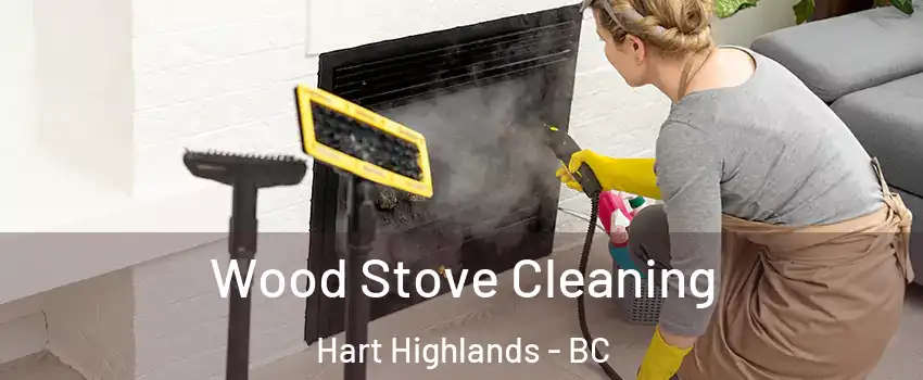  Wood Stove Cleaning Hart Highlands - BC
